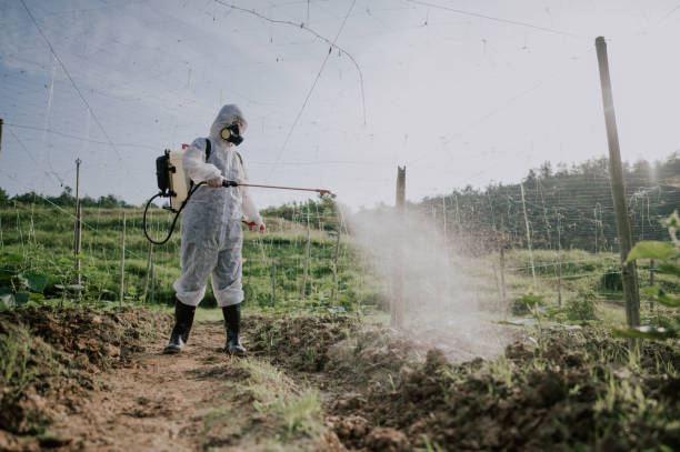 Best Best Pest Control Companies  in Castalia, OH