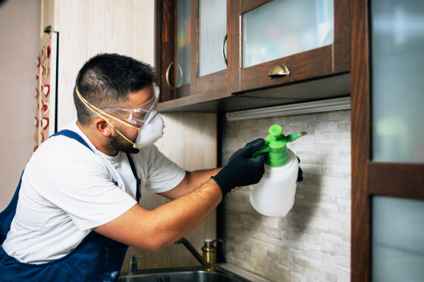 Best Emergency Pest Control  in Castalia, OH