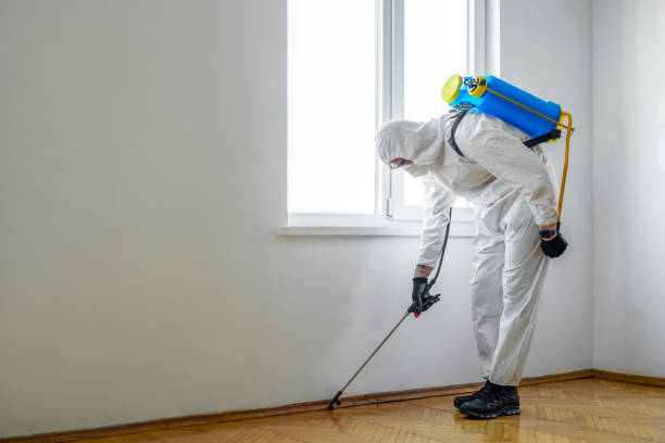 Best Residential Pest Control  in Castalia, OH