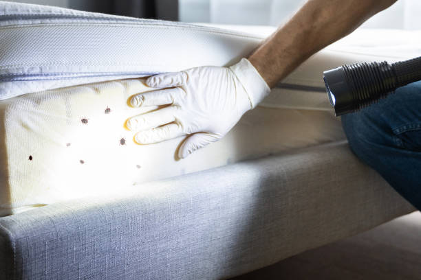 Pest Prevention Services in Castalia, OH
