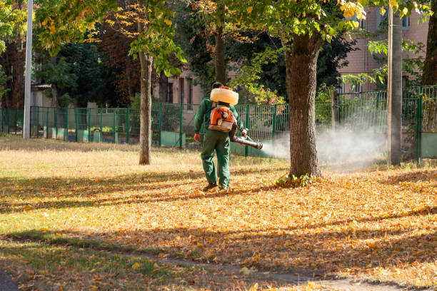 Professional Pest Control in Castalia, OH