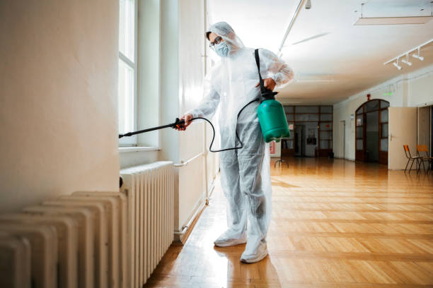 Best Insect Control  in Castalia, OH