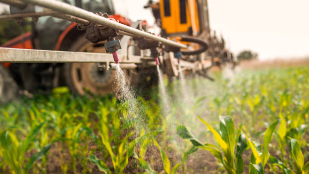 Best Pest Control Cost  in Castalia, OH